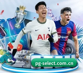 五大服务分区,信息按项目分类 - pg